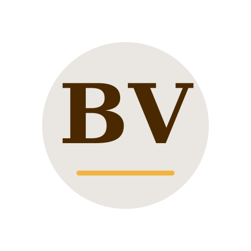 Blue Vista Dryer Cleaning Services logo